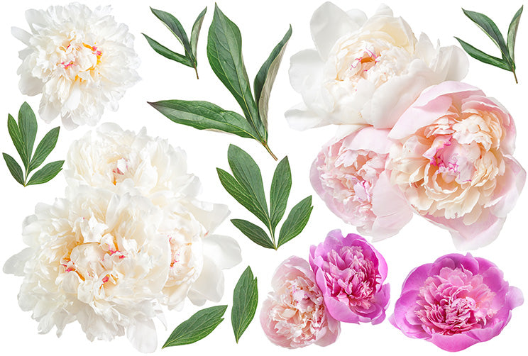 Peonies and Leaves - Cut Outs