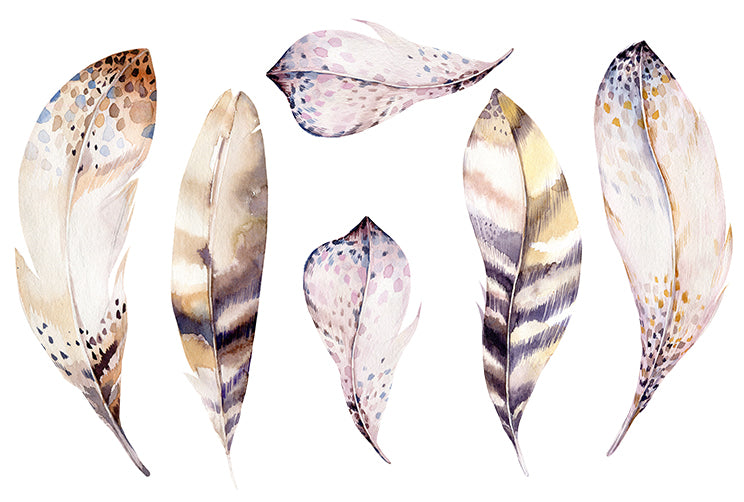 Feathers Natural - Cut Outs